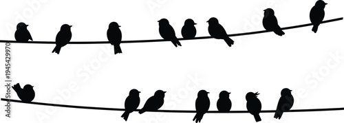Silhouette of small birds sitting on power lines, black songbirds perched on wire set, wildlife nature illustration isolated on white. (20 words)