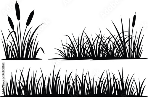 Wild grass silhouette collection, marsh reed plants, swamp cattails, nature field border, wetland meadow landscape vector design