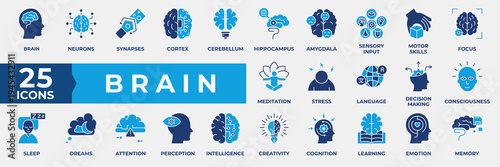 Brain icon set. Containing learning, mind, perception, intelligence, creativity, cognition, learning, emotion, memory and more. Simple flat blue vector Illustration.