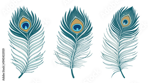 Minimal peacock feather silhouette vector set with blue green and gold colors on white background for design