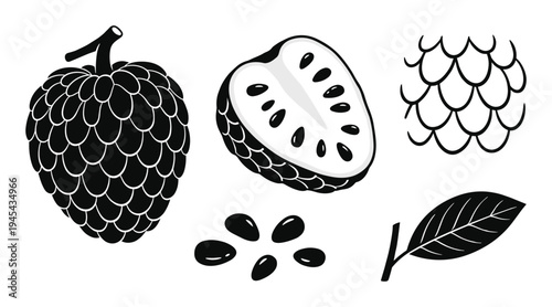 Sugar apple cherimoya custard fruit collection with whole half section seeds and leaf vector illustration