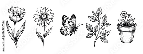 Set of hand-drawn spring illustrations featuring a tulip, daisy, butterfly, leafy branch, and a potted plant in a detailed vintage engraving style with black ink line art