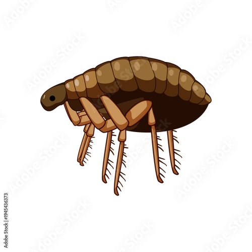 Cartoon flea illustration on white background depicting a tiny household pest and parasite, highlighting infestation, hygiene, skin irritation, pet care and pest control themes