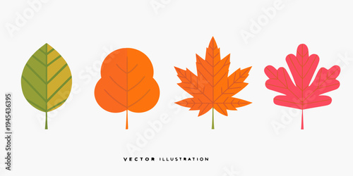 Four stylized autumn leaves in vibrant shades of green orange and red