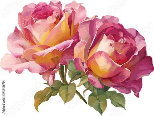 Pink rose flower isolated on white background with petals and leaves