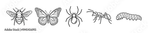Set of five hand-drawn insect illustrations including a bee, butterfly, spider, ant, and caterpillar in a simple black and white line art style for entomology or nature concepts