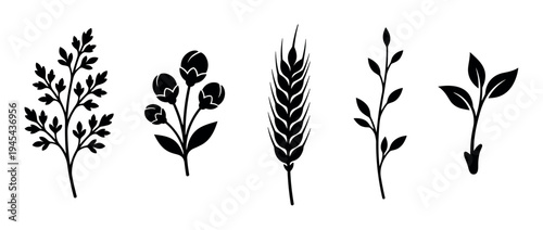 Collection of black botanical silhouettes featuring a leafy branch, flower buds, wheat ear, stem, and sprout, representing various forms of plant life in a minimalist graphic style