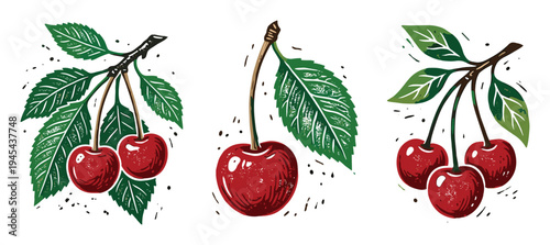 Red cherries on branch with green leaves hand drawn textured fruit set for design vector illustration
