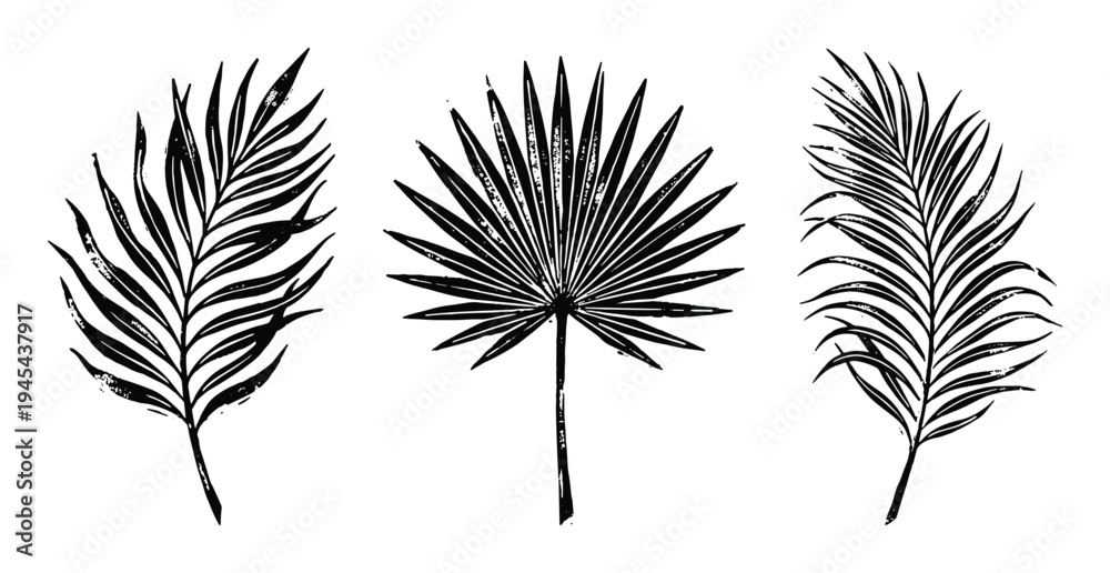 Obraz premium Set of tropical palm leaves, hand drawn silhouette style, isolated design elements