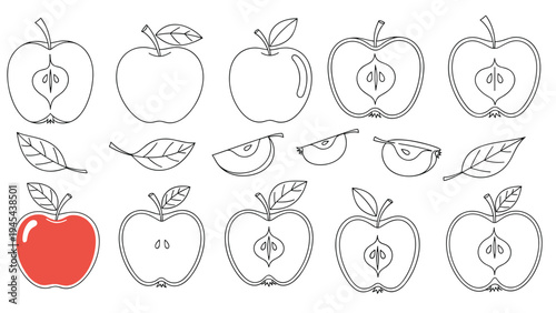 Line art collection of various apples, cross-sections, and slices featuring one colored red apple for visual emphasis and contrast.