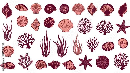 Assorted collection of detailed sea shells, coral, seaweed, and starfish in a monochromatic pink and burgundy color scheme on white.