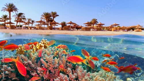 Tropical coral reef and fish with beach with palms and sun umbrelas on the background, Red Sea, Egypt