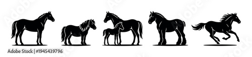 Collection of black horse silhouettes showing various breeds and ages, including a pony, a mare with a foal, a draft horse, and a galloping stallion in a graphic vector style