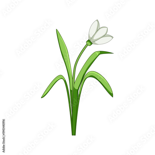 Snowdrop flower icon representing spring arrival, new beginnings, freshness, and nature revival, depicted with white petals and green leaves against a clean white background