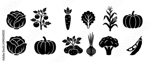 Set of black vegetable icons featuring cabbage, tomato, carrot, corn, pumpkin, potato, onion, broccoli, and peas in a simple glyph style for agricultural concepts