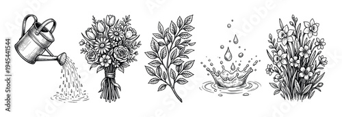 Set of hand-drawn gardening illustrations featuring a watering can, flower bouquet, leafy branch, water splash, and daffodils in a vintage black and white sketch style
