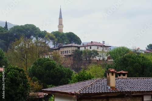 Old town landscape with a minaret and traditional houses