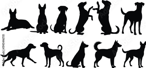 Dog silhouettes collection different dog poses sitting standing playing pet animal black silhouette isolated on white background illustration