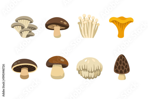 Collection of eight different types of edible mushrooms in a flat design style