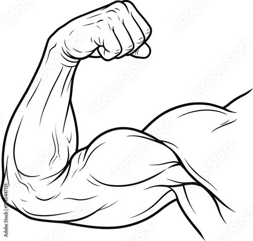 Flexed bicep muscle anatomy drawing showing athletic arm strength and bodybuilding progress line art vector illustration