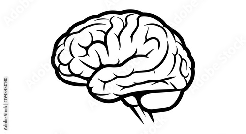 Human Brain Lateral View Line Art Illustration Isolated on White