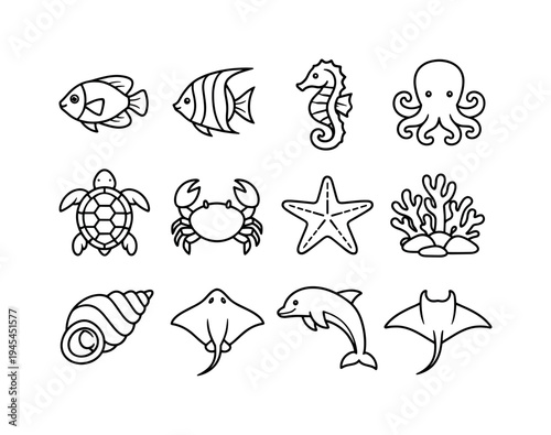 Coral reef sea creatures: tropical fish, angelfish, seahorse, octopus, jellyfish, sea turtle, crab, starfish, coral reef cluster, sea shell spiral, stingray, dolphin