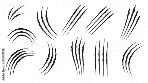 Claw marks set with black ripped lines on a white background, representing animal scratches and damage.