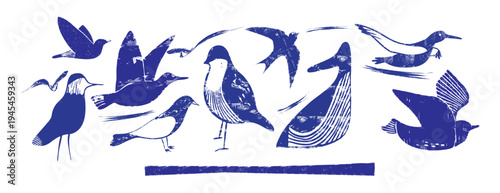 Vintage linocut bird vector illustration set. Blue flying birds with wings and feathers in woodcut engraving style. Wildlife nature collection with grunge texture, hand drawn decorative design