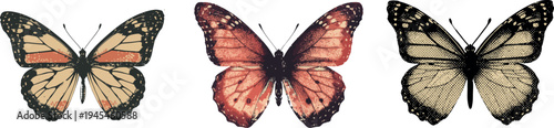 Butterfly illustration with halftone stipple effect for grunge punk Y2K collage design. Vector artwork with grainy photocopy texture and experimental dotted retro banner style