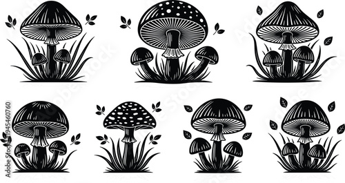 Black and white mushroom illustration set, stylized fungi artwork, botanical vector drawing, forest nature design, decorative mushroom sketch, spotted cap motif, natural pattern