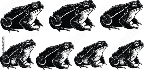 Black and white toad illustration pattern, stylized amphibian artwork, spotted frog vector design, wildlife drawing motif, decorative reptile sketch, artistic animal silhouette