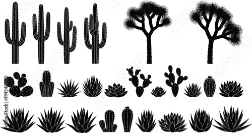 Black desert cactus silhouette illustration set, succulent vector artwork, Joshua tree design sketch, agave plant motif, botanical desert flora drawing, decorative nature icon