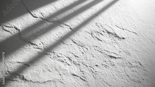 白い壁に映る影の模様。テクスチャーと光のコントラスト表現用素材。