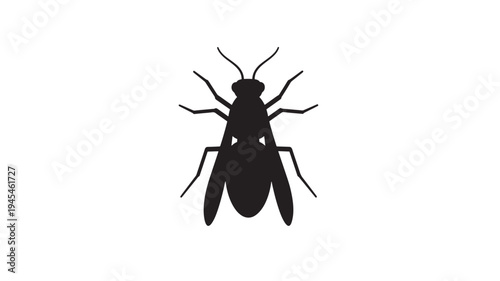 Fly silhouette with detailed wings and antennae, isolated on a white background for graphic design. featuring insect, icon, vector with bug and pest