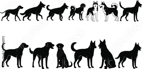 Dog silhouettes collection, Siberian husky illustrations, canine posture study, domestic pet breeds vector set, animal anatomy comparison, black silhouette dogs artwork