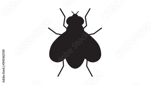 Fly silhouette with bold black lines and curves against a pure white background, a common insect icon.
