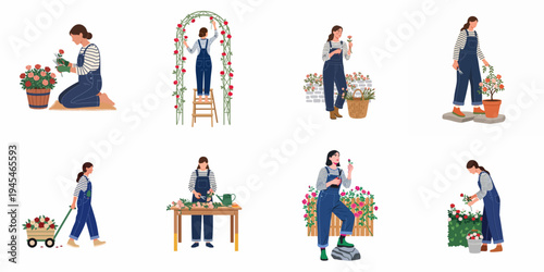 Collection of vector illustrations featuring a woman gardener performing various tasks like pruning, planting, and arranging roses in a garden.