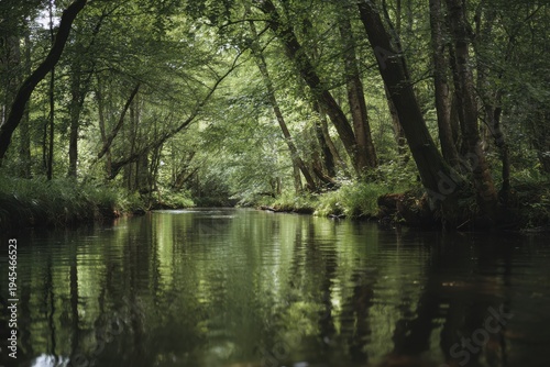 Serene Forest Stream Reflection. Tranquil Waterway Amid Dense Foliage With Sunlight Filtering Through