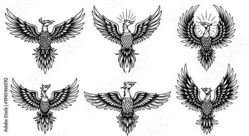 Set of Six Stylized Phoenix Illustrations in Black and White.