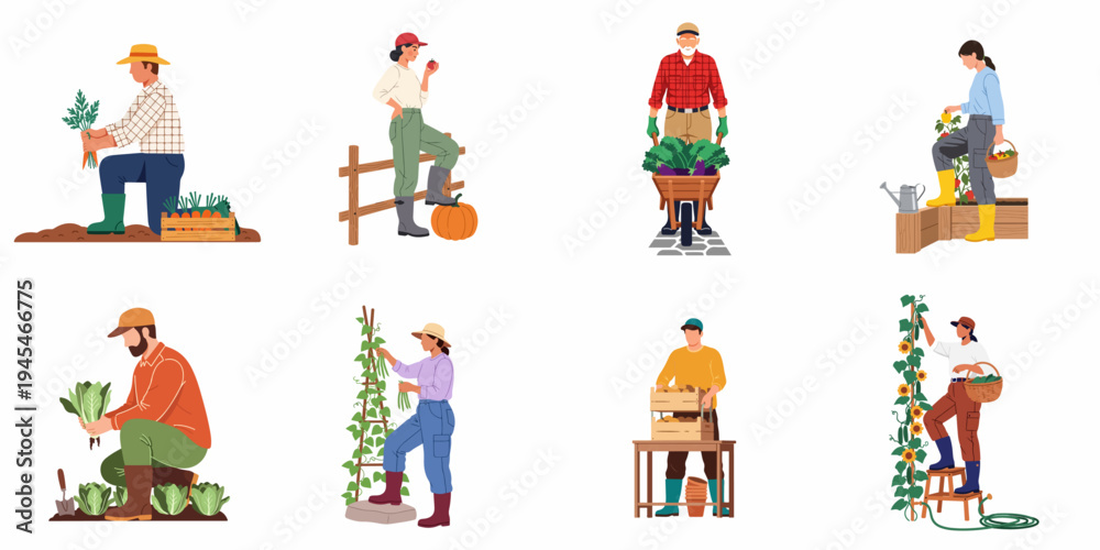 Fototapeta premium Flat illustration set of diverse farmers and gardeners harvesting various organic vegetables and fruits in a garden or farm setting.