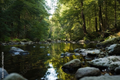 Calm Stream Amid Vibrant Foliage. Beautiful Sunlit River With Reflective Water And Lush Trees