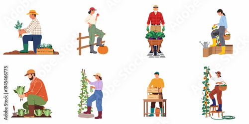 Flat illustration set of diverse farmers and gardeners harvesting various organic vegetables and fruits in a garden or farm setting.