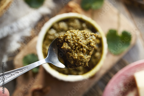 Pesto sauce made of fresh young garlic mustard leaves - wild edible plant harvested in early spring