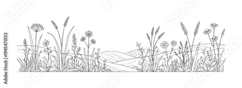 Line of wild grasses and flowers in a rolling landscape nature field