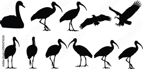 Helicopter silhouette vector illustration set, diverse aircraft designs with rotor, fuselage, and tail variations, creative resource for aviation, transport, and educational themes