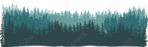Evergreen pine forest landscape silhouette, misty coniferous woods border, mountain wilderness nature scenery, winter spruce and fir timber vector design