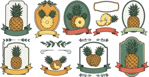 Vintage Pineapple Labels and Frames Collection with Decorative Banners, Retro Badges, and Tropical Fruit Emblems for Food Packaging Design