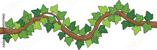 Decorative green ivy vine and creeping plant border vector featuring lush leaves climbing along a winding wooden branch.