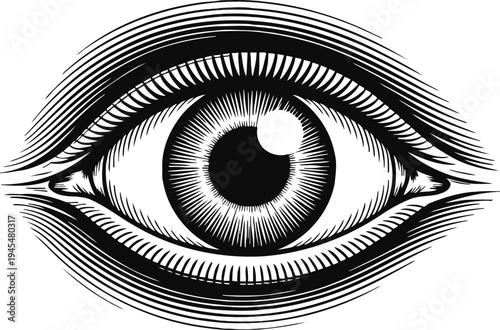Black and white detailed eye illustration, vintage engraving style, abstract optical art design