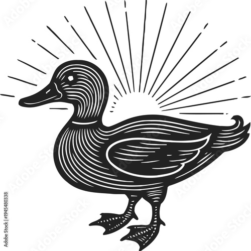 Black duck silhouette with radiant sun rays sunrise background vintage woodcut design